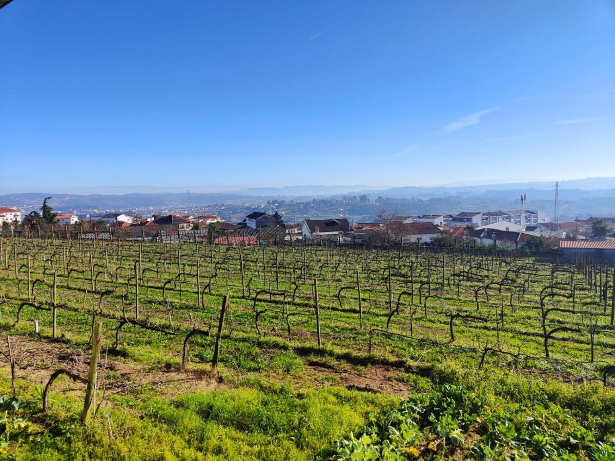 费尔格拉斯 Quinta De Basto House酒店 外观 照片